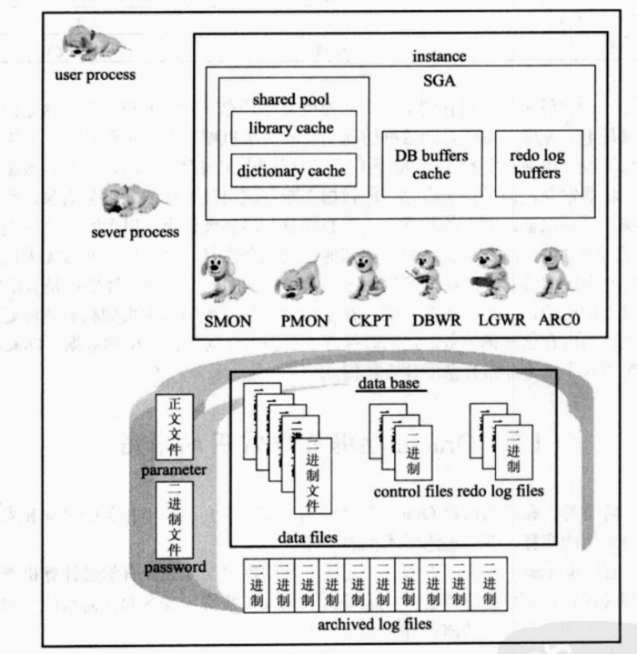 oracle数据库初步学习笔记